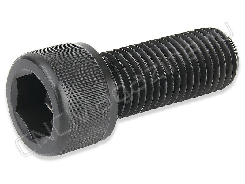 Болт для кулачков M10x25 B206